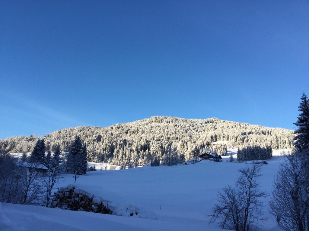 Ferienwohnungen Vierthaler Filzmoos Exterior foto